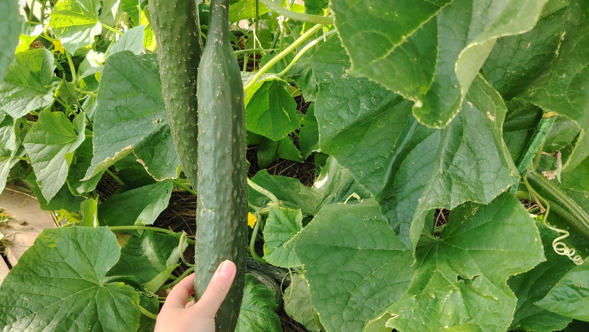    Фото редакции