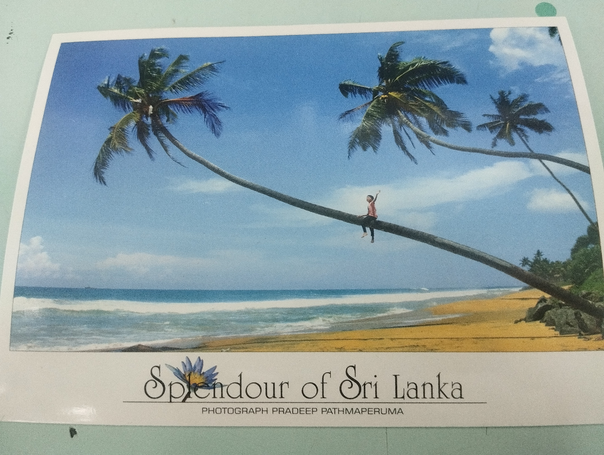 Машу тебе рукой с пальмы. Видно меня?