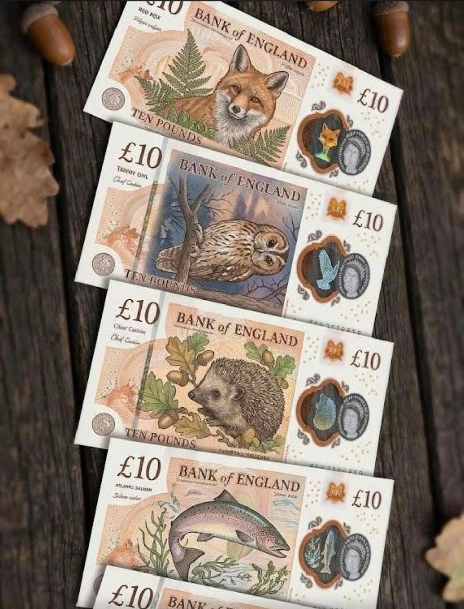 Кажется именно так должен выглядеть новый дизайн банкнот. Фотография из открытого источника. 