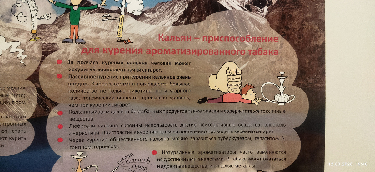 Плакат из районной поликлиники. Фото моё.