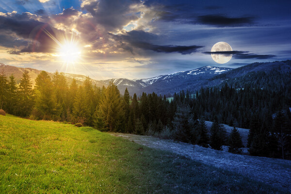 Mike Pellinni/Shutterstock/FOTODOM   📷