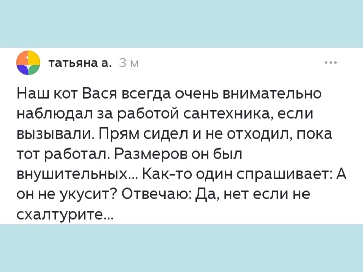 История из жизни