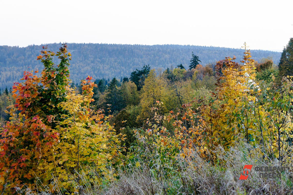Путешественникам упростили доступ к живописной Пилахте.  Фото: Фото: ФедералПресс / Елена Майорова
