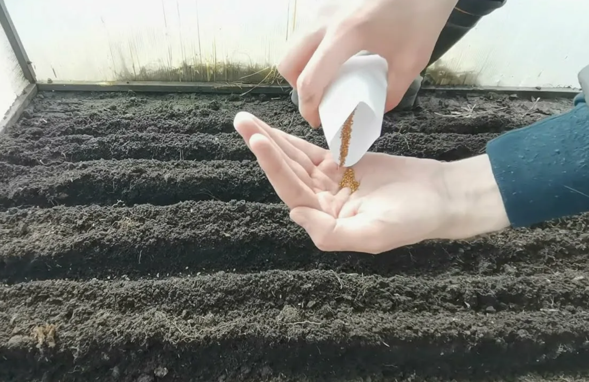 Источник фото: youtube.com