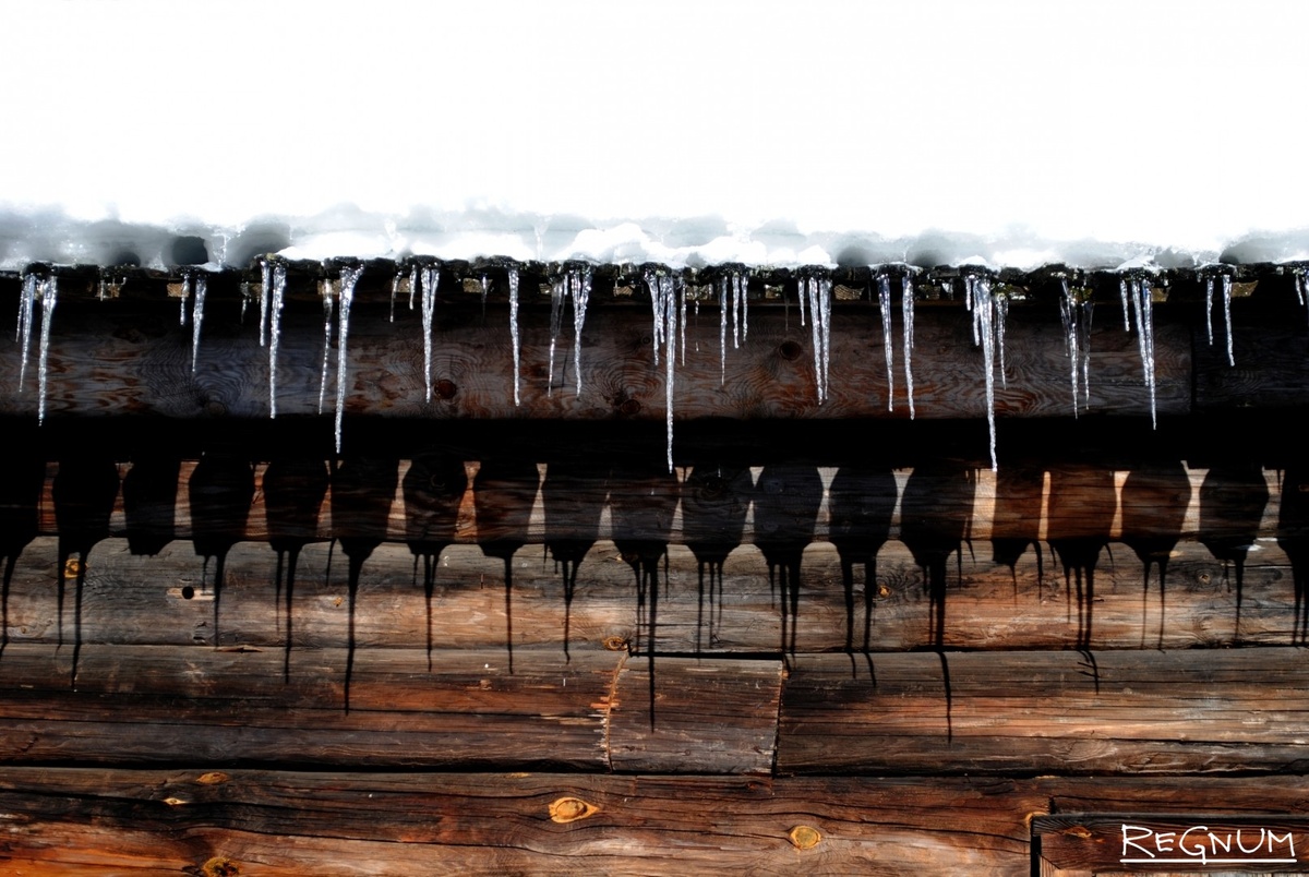     / Источник: Андрей Репин © ИА REGNUM