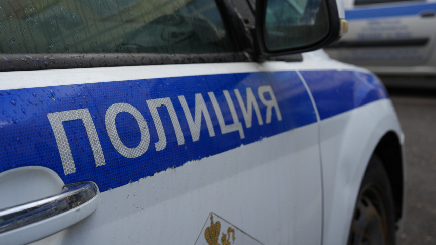    Фото: ИЗВЕСТИЯ/Дмитрий Коротаев; 5-tv.ru