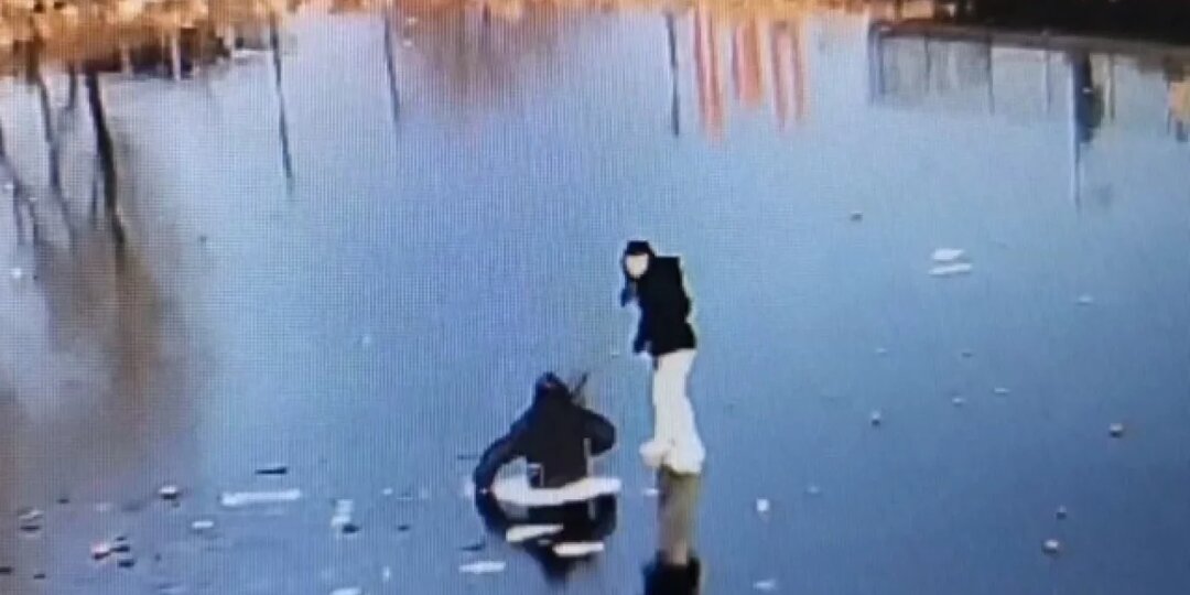 В Калининграде прохожие спасли детей и собак, провалившихся под лед