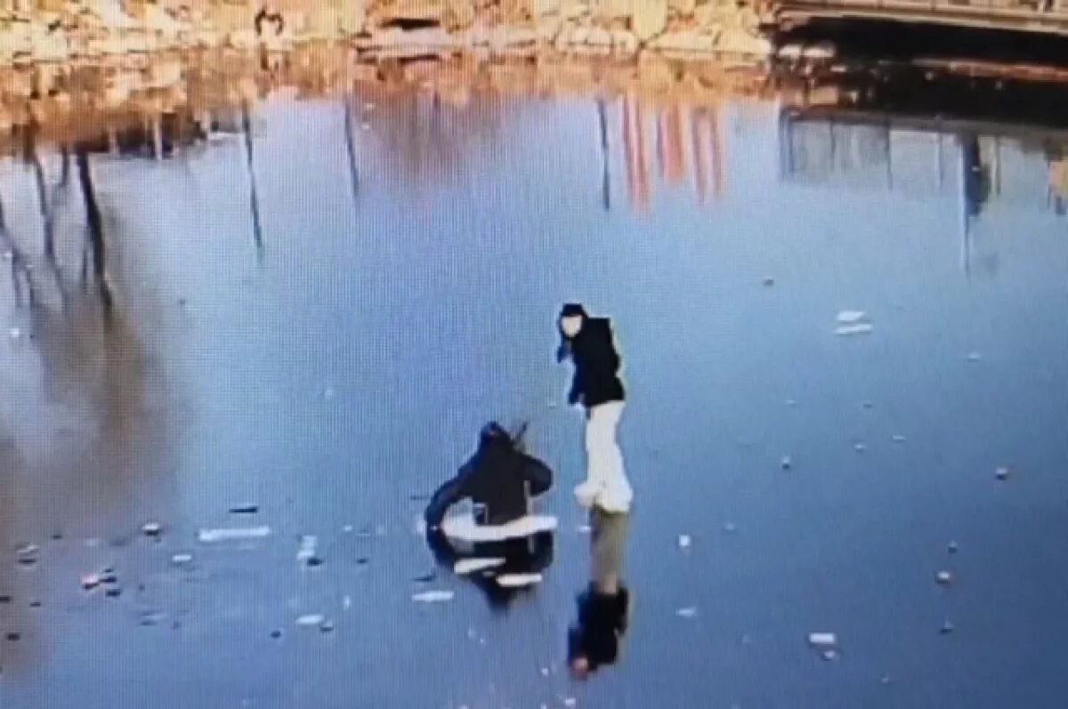    В Калининграде прохожие спасли детей и собак, провалившихся под лед