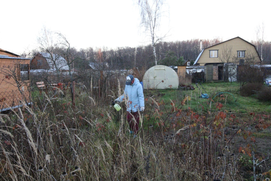    Сергей Булкин/NEWS.ru