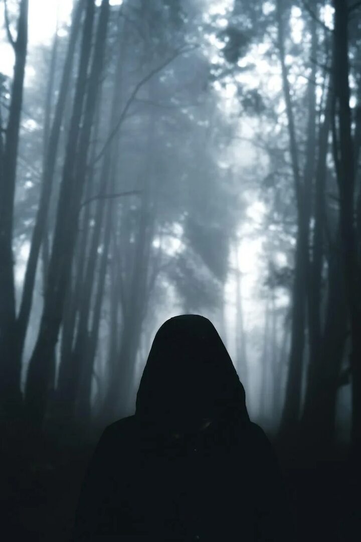 Изображение взято из открытых источников интернета. 