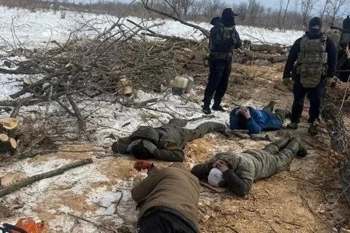    В Хабаровском крае банда рубила и продавала местным муниципальный лес