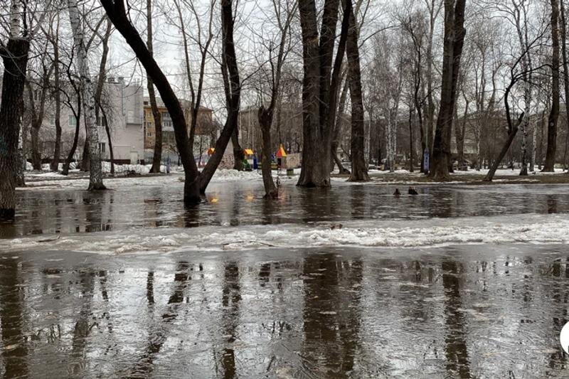    ЕАН. Весеннее таяние снега