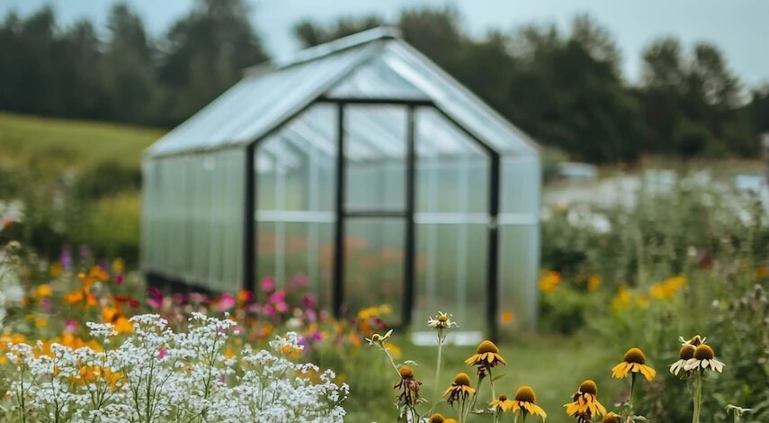 Уборка в теплице весной и подготовка почвы: полный план работ на март