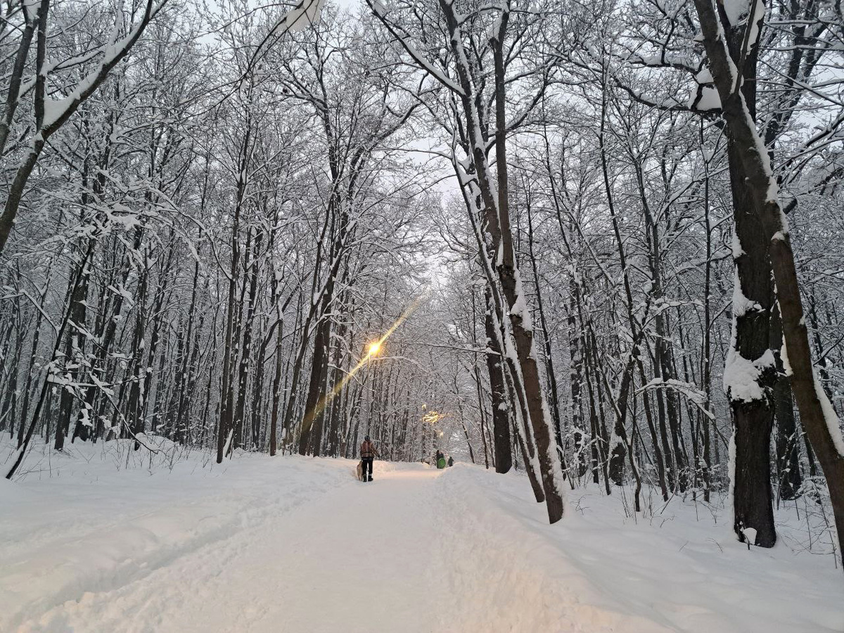 Циклон принесет с собой снегопады и усиление ветра.  Фото: Фото: ФедералПресс / Вера Романескул