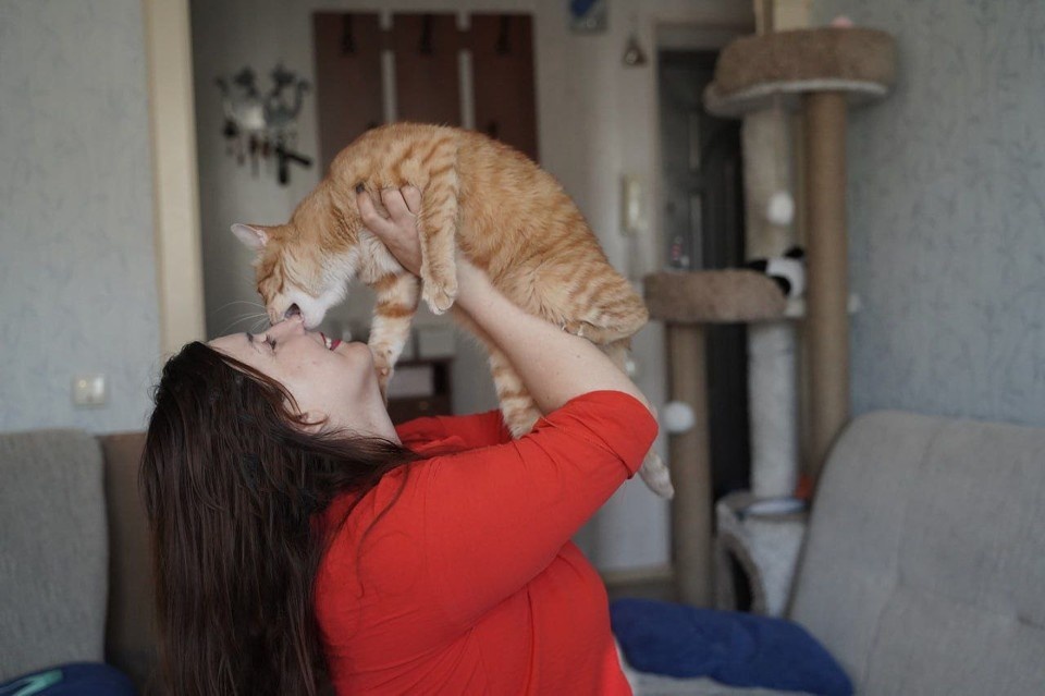    Хозяйка, а ты сама тесты на IQ пройдешь? Светлана МАКОВЕЕВА