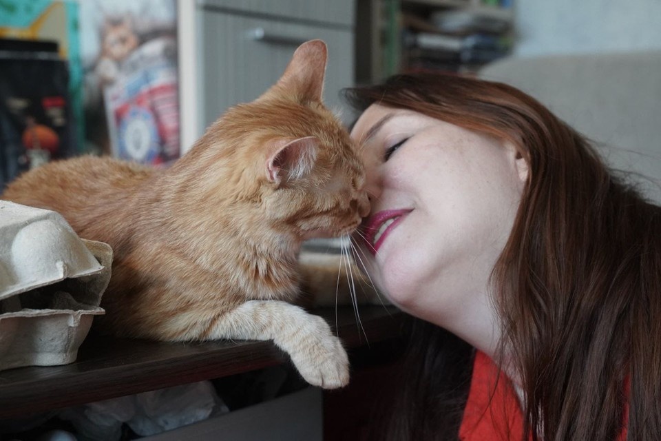    Умный кот знает, как приручить любого хозяина. Чтобы кормил! Светлана МАКОВЕЕВА