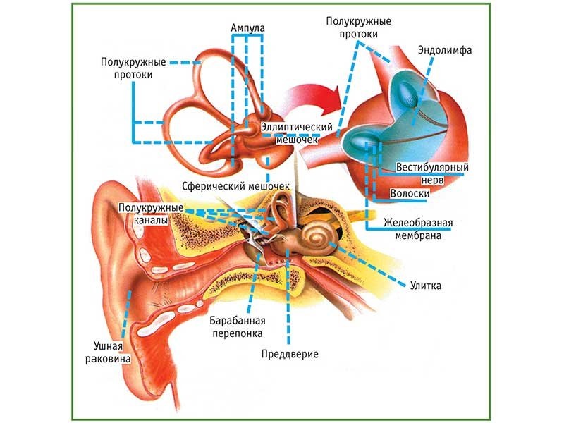 фото из открытого источника