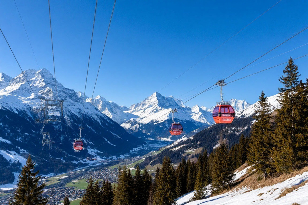    Фото: коллаж RuNews24.ru