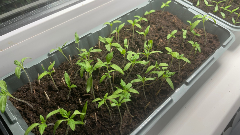    Фото: ПроГород