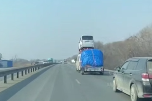 Кадр видео: Telegram-канал  Владивосток Новости Сейчас | Приморский край VDK_Tiger Приморье  📷