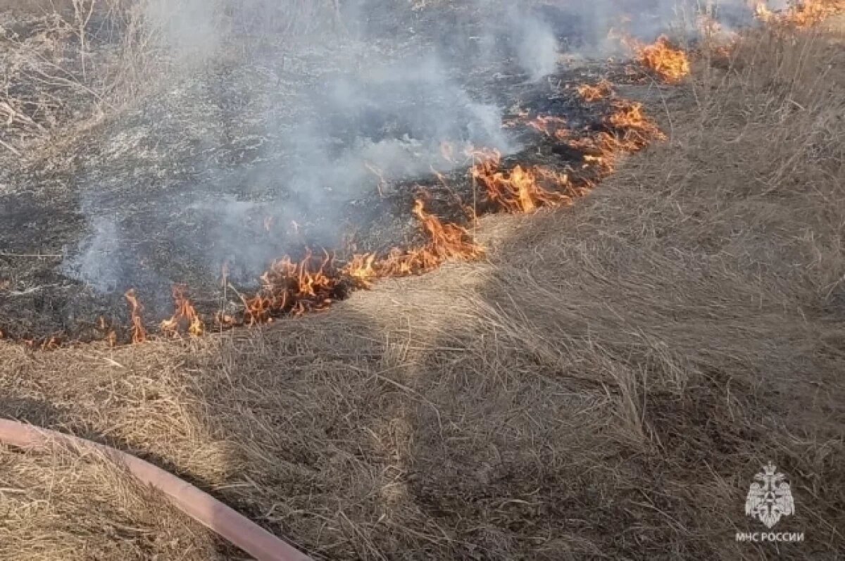    В Башкирии утвердили стратегический план защиты лесов от огня на 2026 год