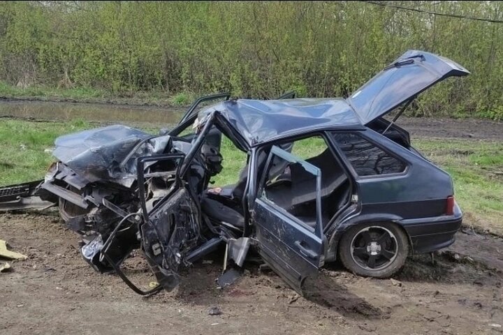    Фото: открытый источник