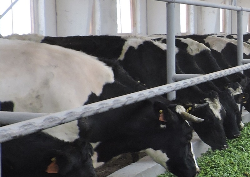    Фото из архива редакции