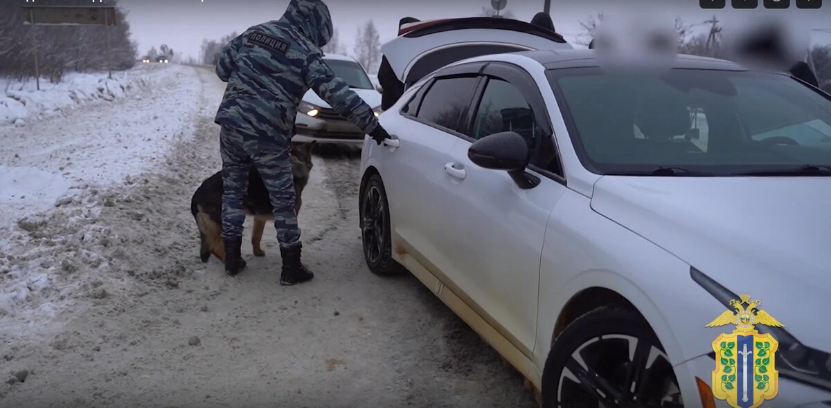    Фото: скрин из видео