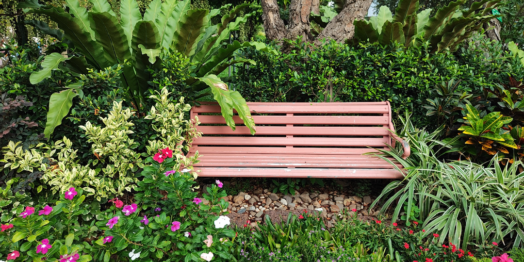 Воспоминания о зимнем лете. Бангкок: Шикарные парки тайской столицы