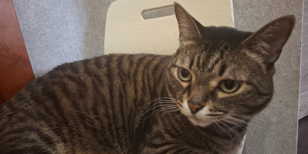 19 марта 2026 год. Мои небольшие проблемы.