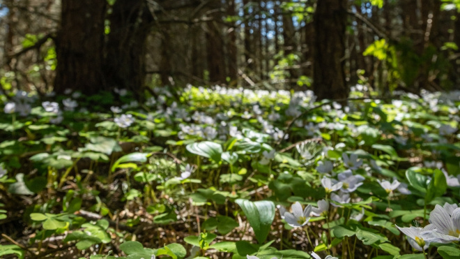 Фото: https://vk.com/wall-31108656_4321