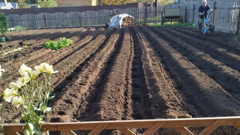    Фото progorod43.ru