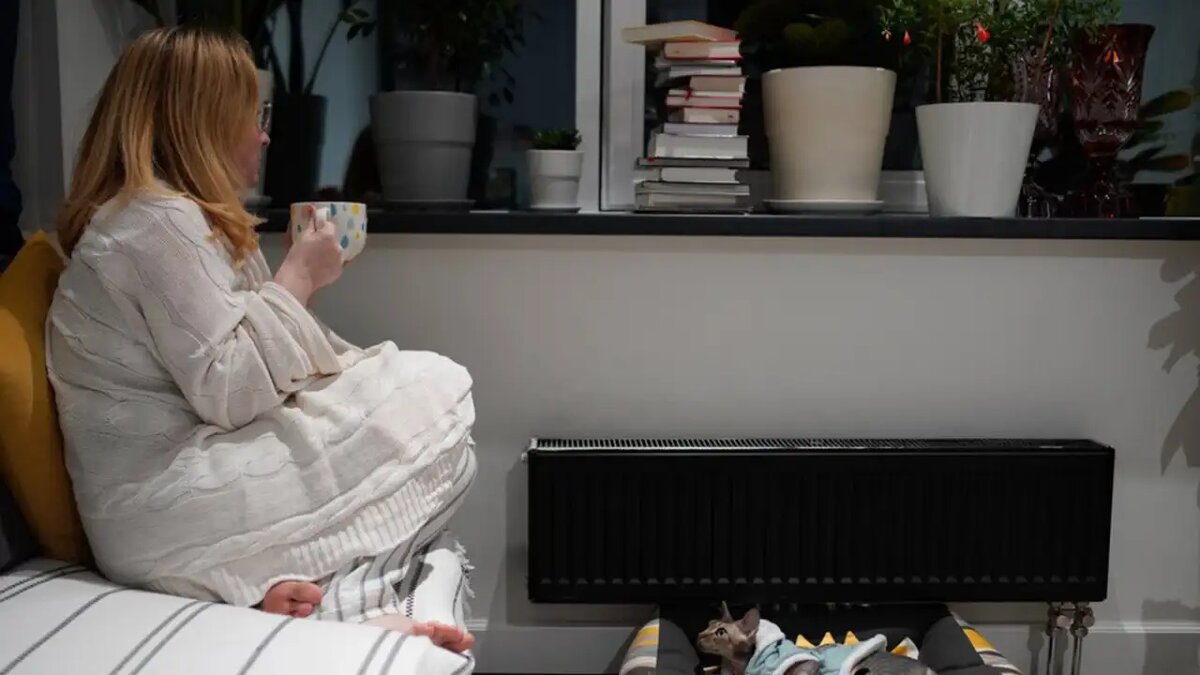     © АГН "Москва"