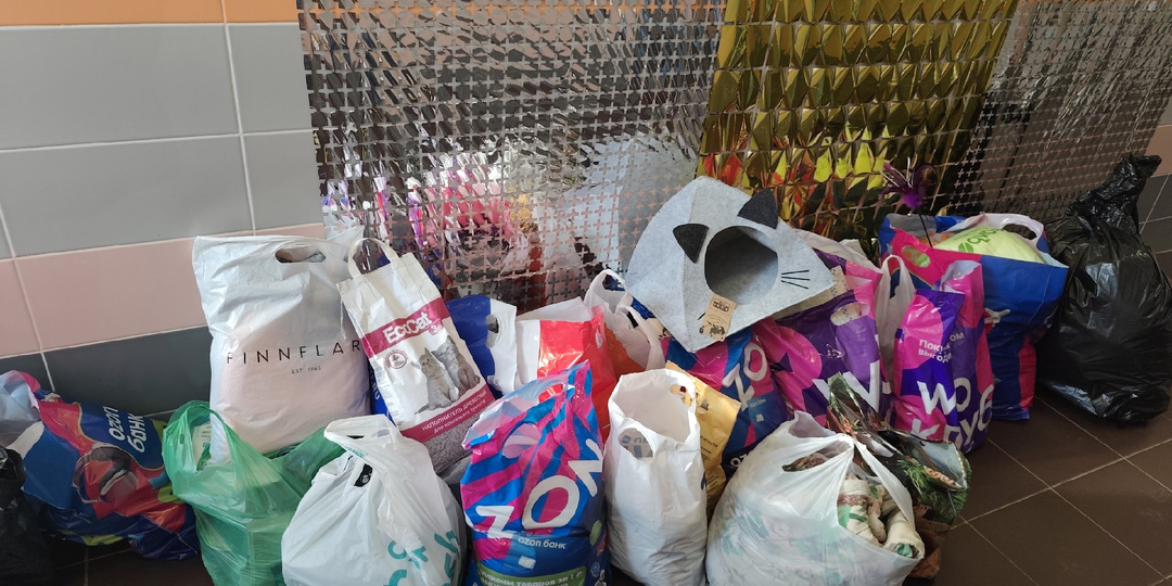 Коты говорят спасибо 🐾💝