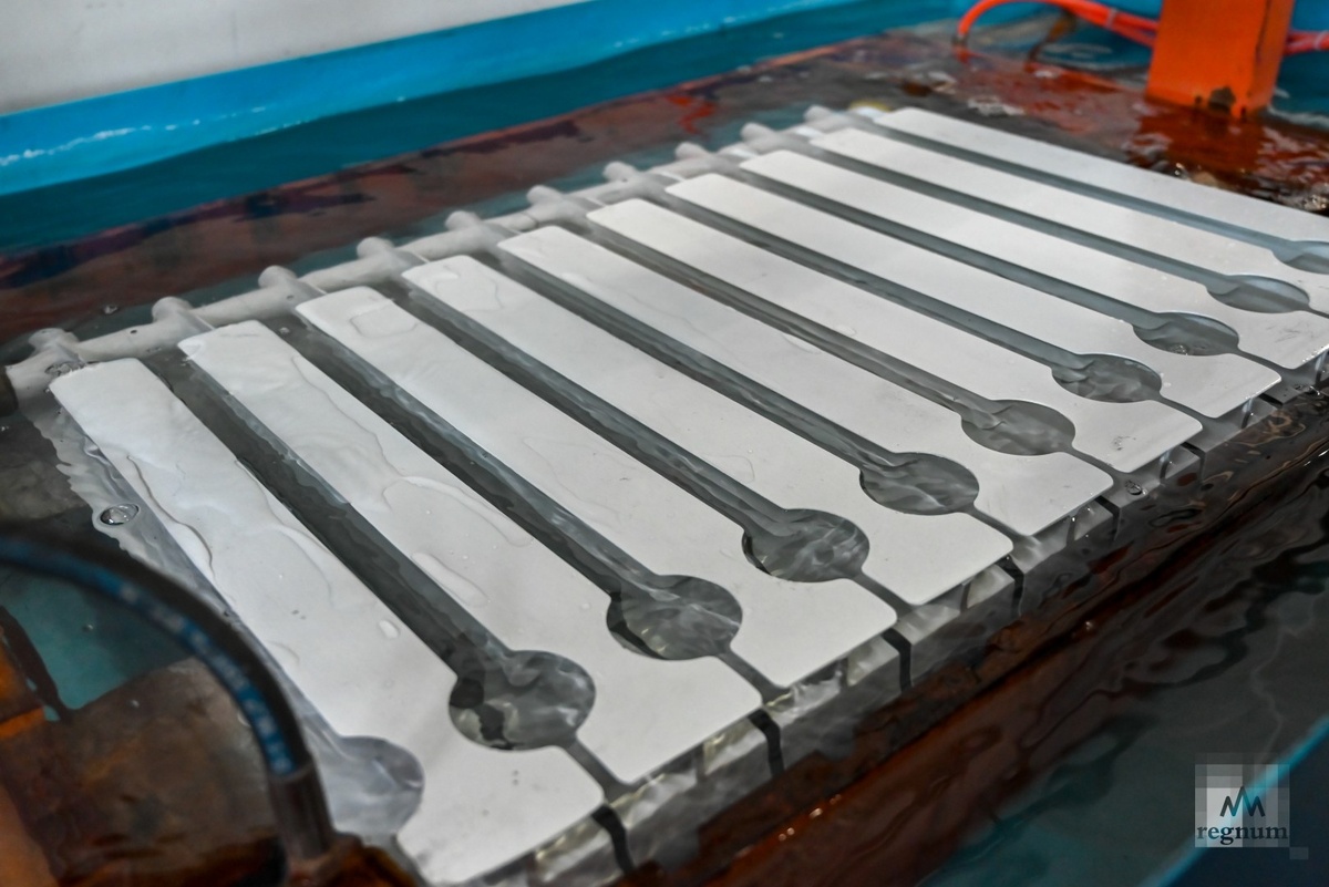     / Источник: Александр Погожев © ИА REGNUM