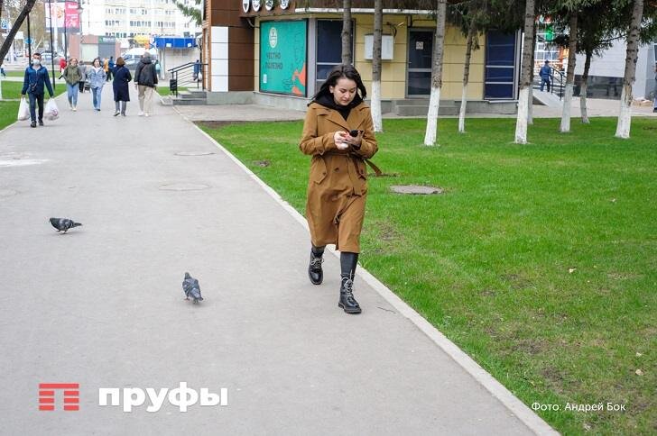    Фотобанк Пруфы