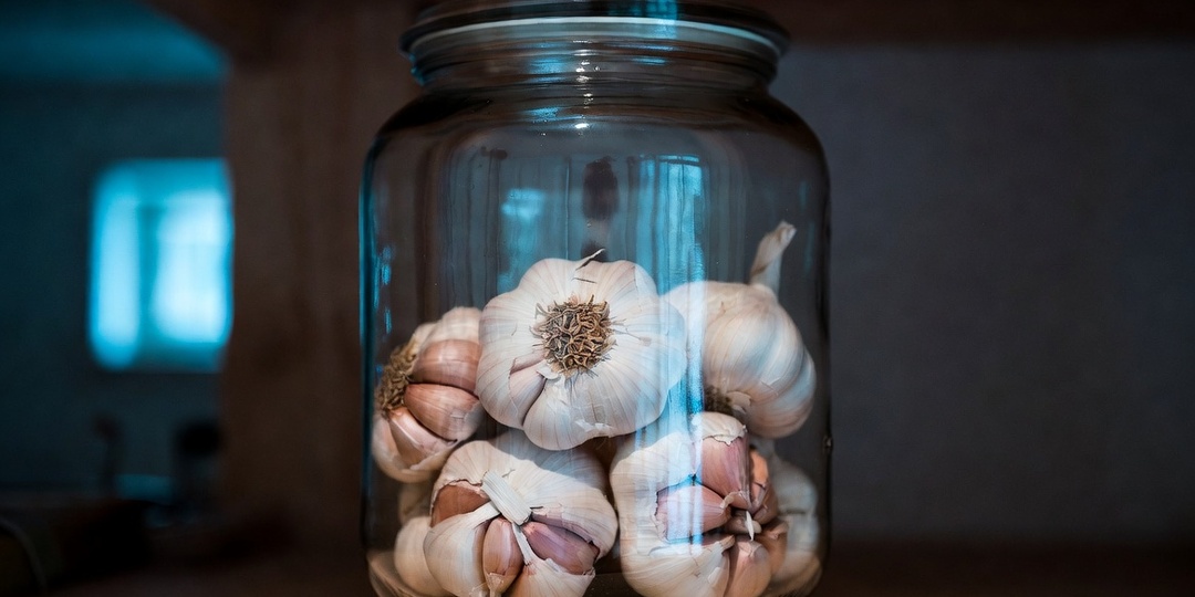 6 лет храню чеснок в стеклянных банках без крышки в прохладном месте — не прорастает до весны