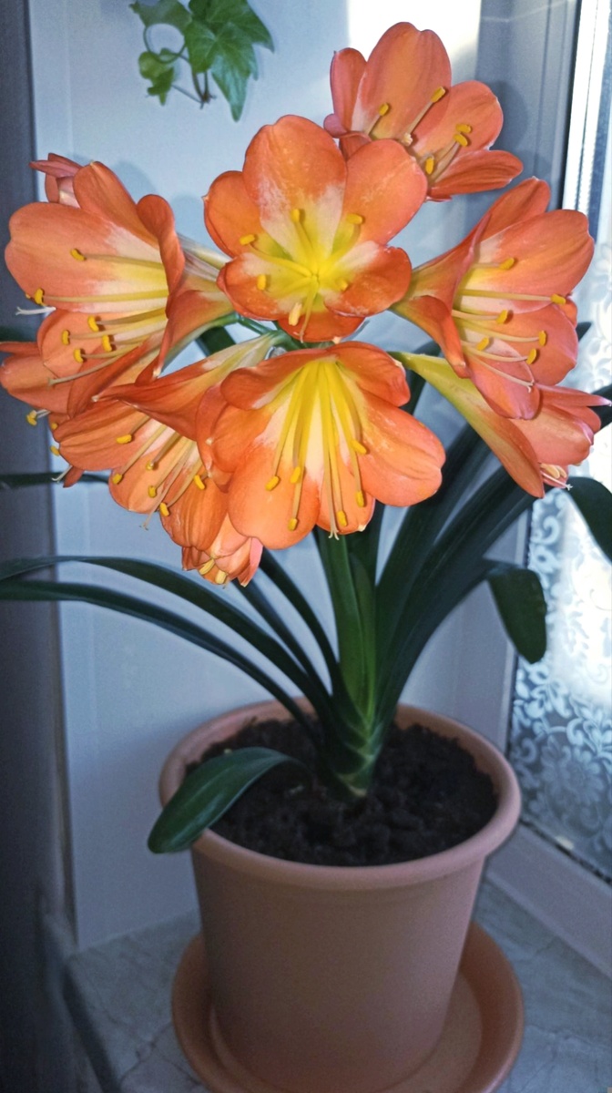 СОГЛАСИТЕСЬ, ОНА ПРОСТО ШИКАРНА! 🤩🤩🤩