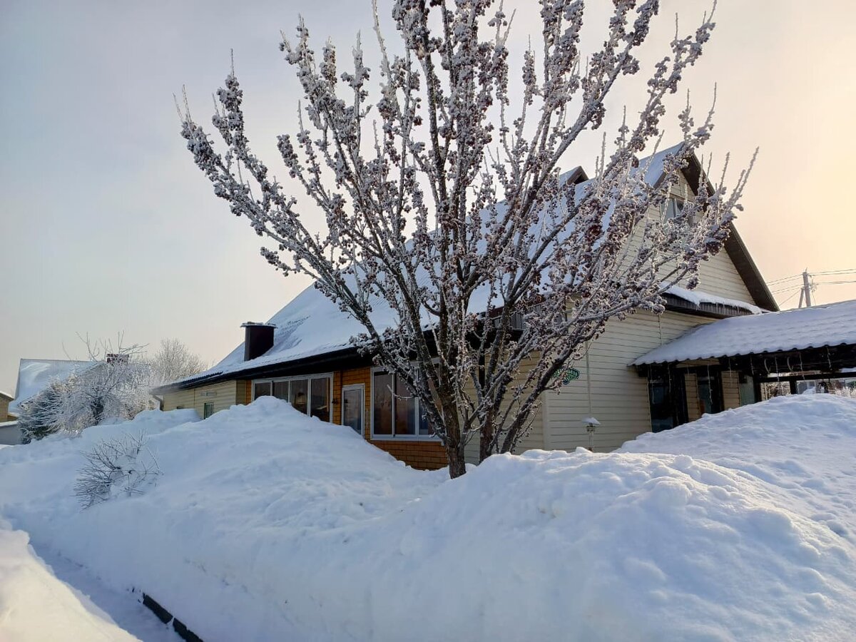 Двор этой зимой, февраль 2026г.