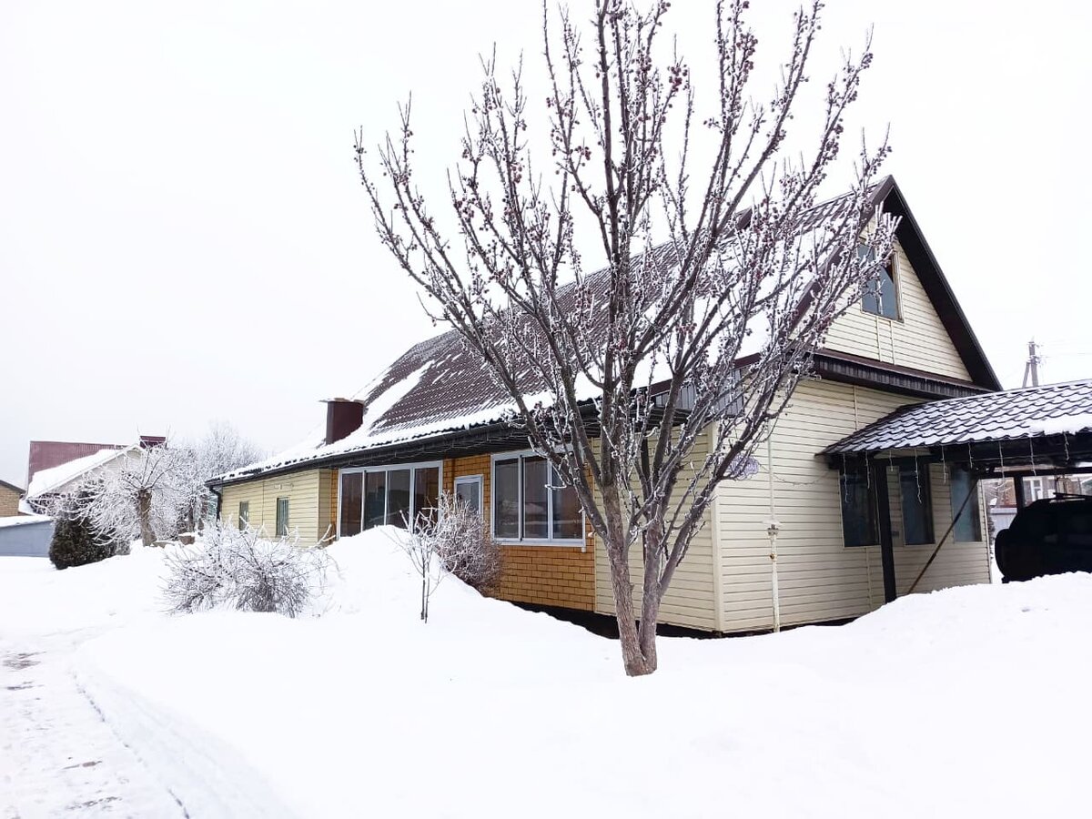 Двор февраль 2025 г.