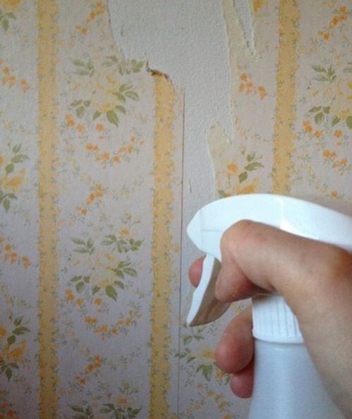 "Вода поможет лучше убрать старые обои"