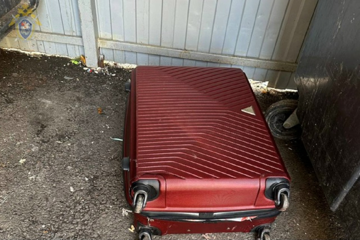    Фото: ГСУ СК России по Московской области