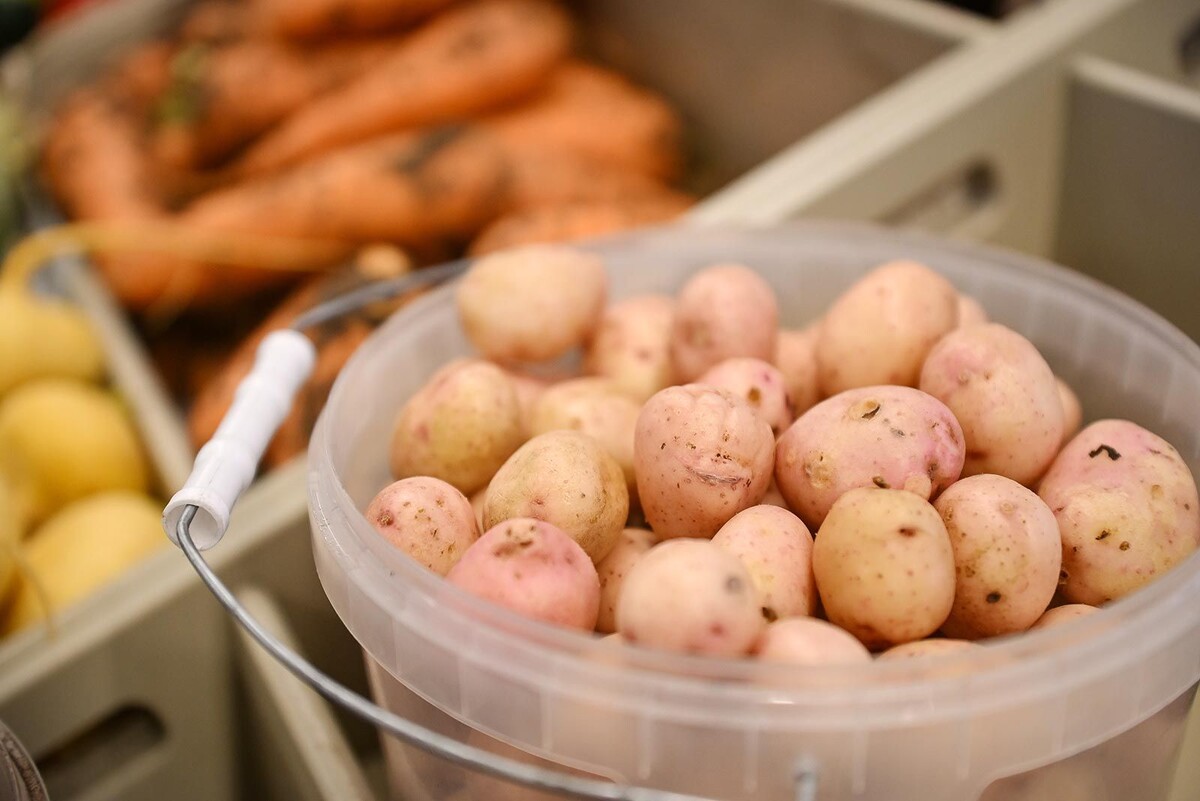    Фото: Пресс-служба Департамента торговли и услуг города Москвы (иллюстративное)