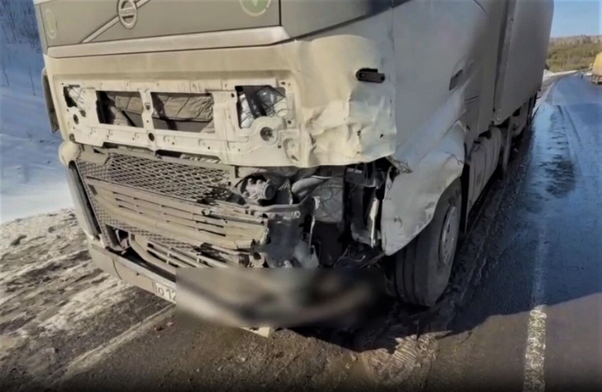     / Источник: © Global Look Press