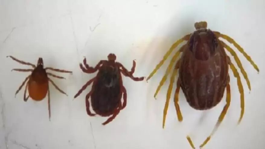    Источник фото: Соцсети