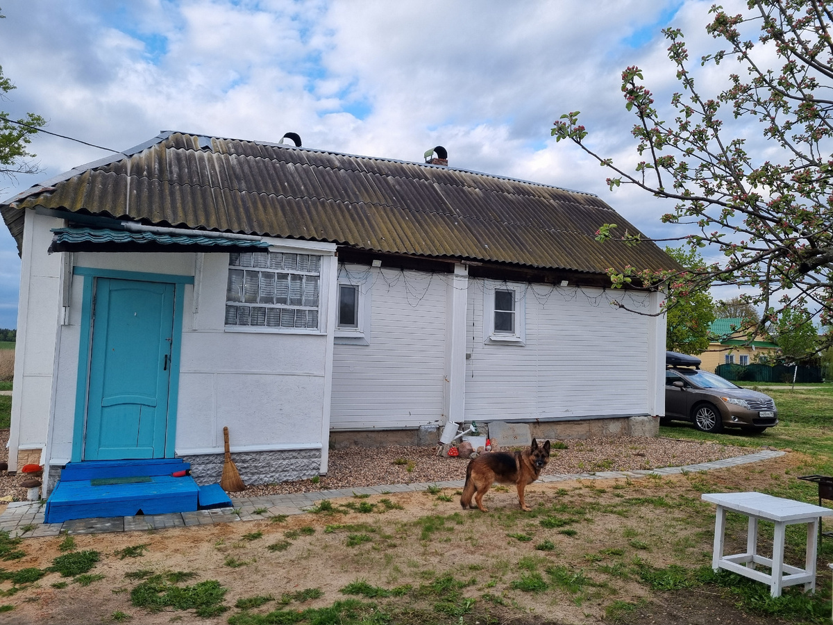 Фото сделано на майские праздники 2025 года, в гостях была очень пугливая овчарочка