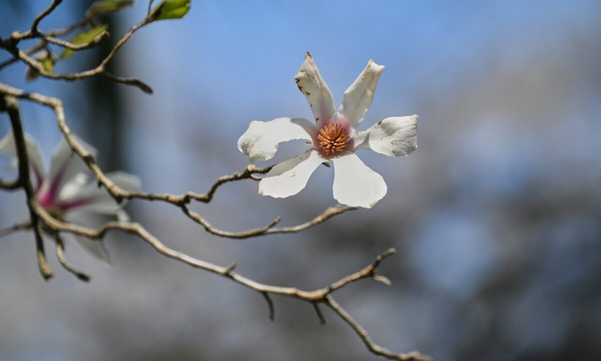    Фото Екатерины Лызловой, «Кубань 24»
