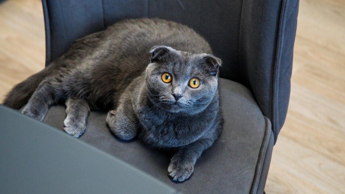    Фото: Global Look Press/Ilya Moskovets