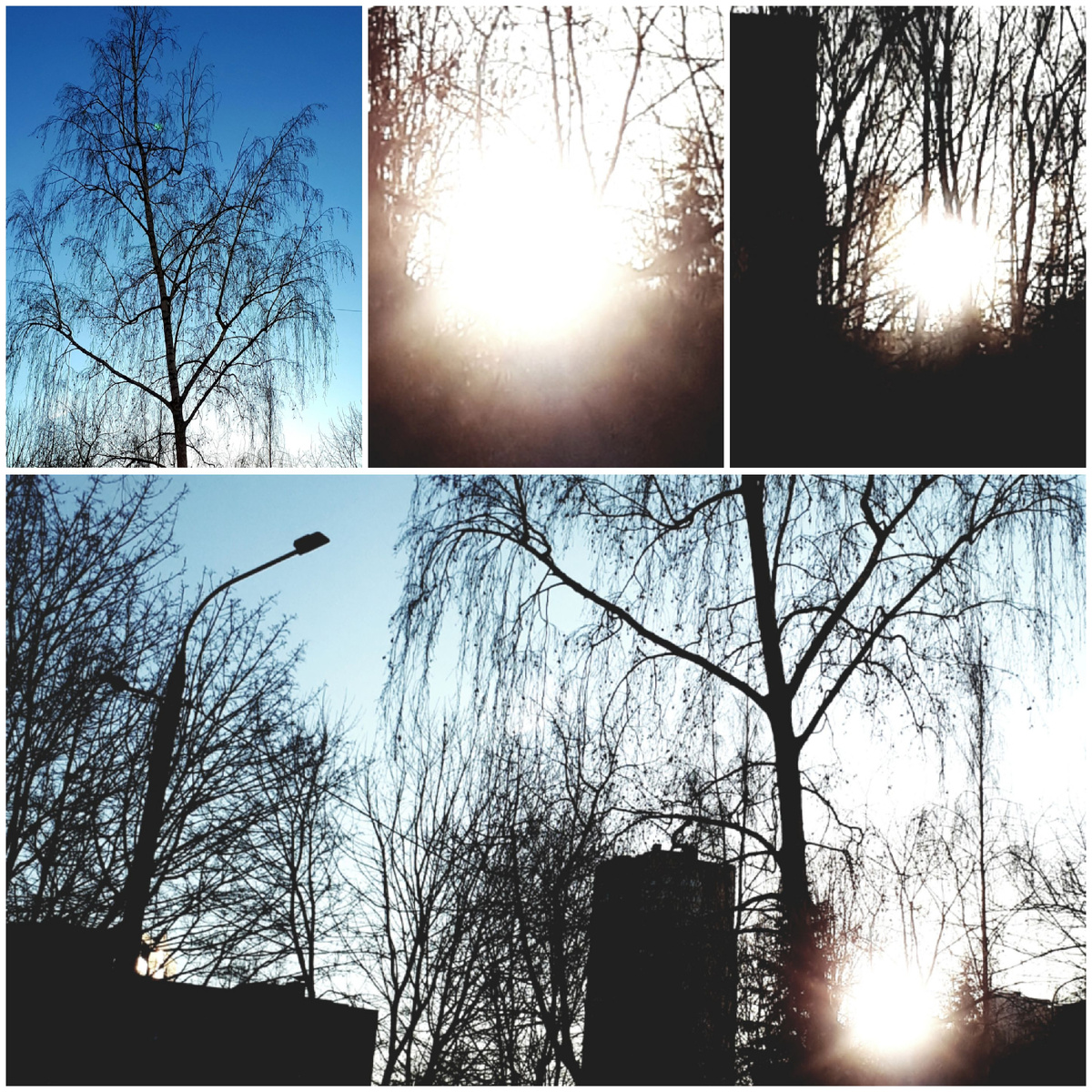 Коллаж автора 19.03.2026г.