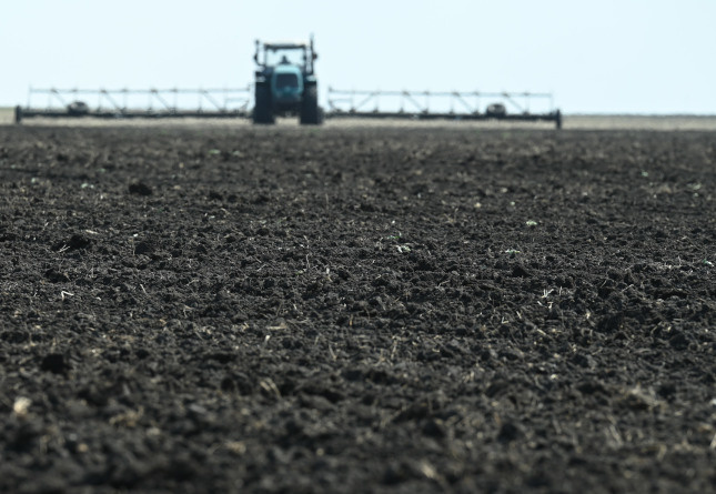 Фото: Людмила Ковалева, из архива редакции